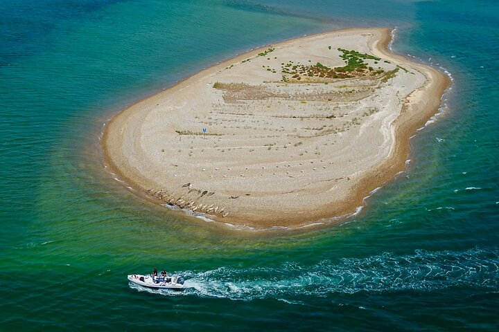 Private Boat Sightseeing Tour along The North Norfolk Coast  - Photo 1 of 8